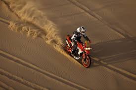 TIGER IN THE SAND.jpg