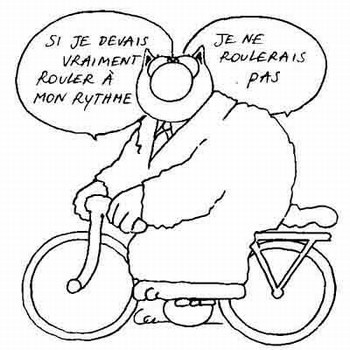 le chat à vélo.jpg