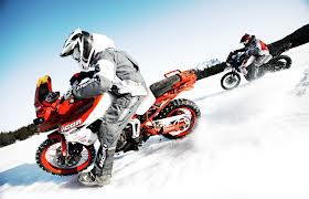 TIGERS IN THE SNOW.jpg