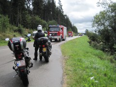 FORET NOIRE 2014 061.jpg