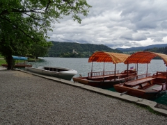 DSC02492.JPG