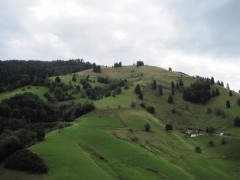 FORET NOIRE 2014 092.jpg