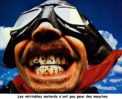 bonne année 2016.jpg