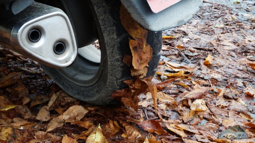 L'automnale 2014 Paul - 03.JPG