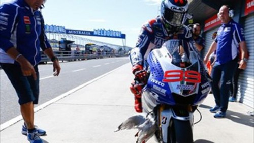 lorenzo et mouette.jpg