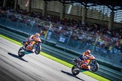 KTM-RC16-4.jpg