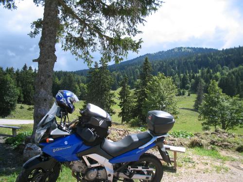 SkynetA294D50820072227486